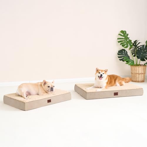Orthopedic Dog Bed with Removable Washable Cover (30*20*3.5 inches / khaki)