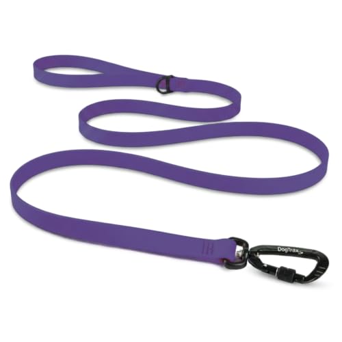Essential Biothane Dog Leash (Purple / 3/4 In x 3 Feet)