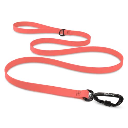 Essential Biothane Dog Leash (Pink Salmon / 3/4 In x 5 Feet)