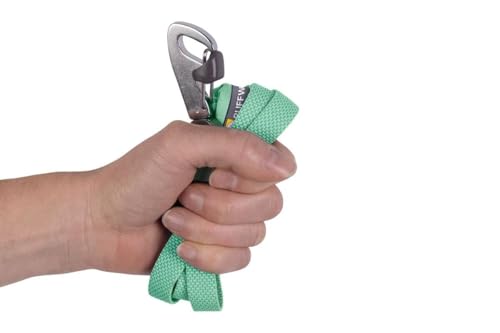 Hi & Light Dog Leash (Sage Green / One Size)