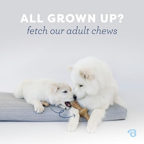 Puppy Wishbone Dog Chew Toy for Gentle Chewers (Puppy Medium)