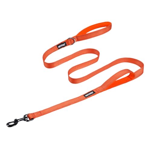 No Pull Dog Leash with Handle for Medium Large Dogs (Orange / 6FT)