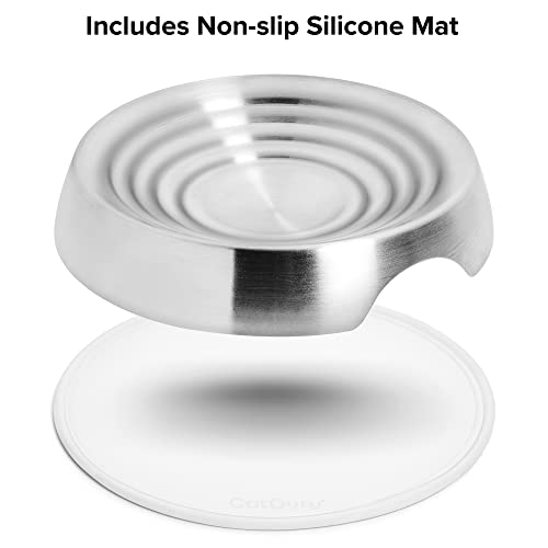 Cat Bowls Whisker Friendly Food Bowl for Indoor Cats (Dish - Set of Two / Stainless Steel)