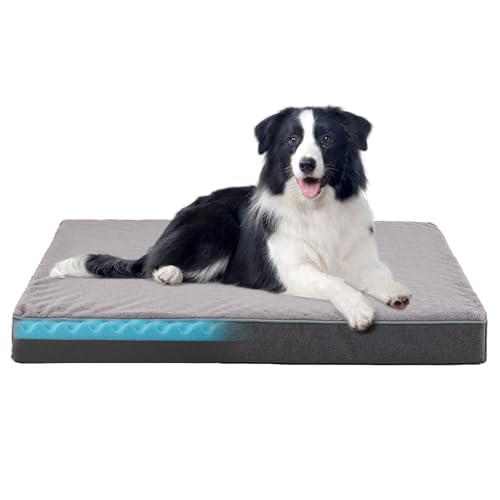 Cooling Dog Beds for Large Dogs (Purple Grey / L-Plus-36"x 27" x 3")