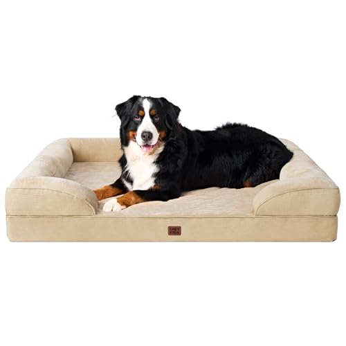 Orthopedic XXL Dog Bed (Graige / 48.0"l X 35.0"w X 8.0"th)