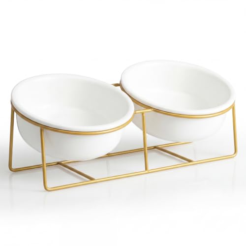 Elevated Dog Bowls for Small Dogs (Small / White×2)
