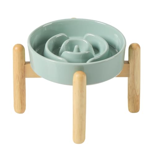 Elevated Slow Feeder Dog Bowls (Light Green)