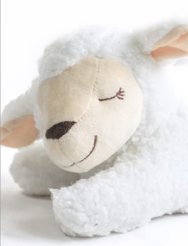 Dog Heartbeat Toy for Anxiety Relief