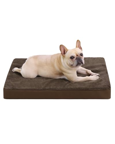 Orthopedic Dog Bed for Small Dogs with Waterproof Lining (Brown / 23.0"L x 17.0"W x 3.0"Th)