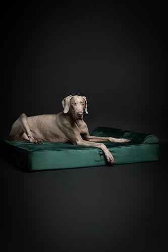 XL Dog Bed 45x35x9.1 Inch (Velvet - Dark Green / X-Large)