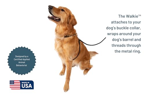 The Walkie No Pull Dog Leash (Large / Orange)