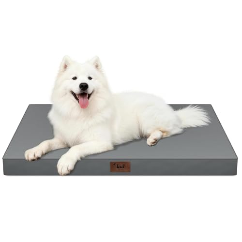 Large Waterproof Orthopedic Dog Bed with Egg Crate Foam (Grey / 41.0"L x 27.0"W x 3.5"Th)