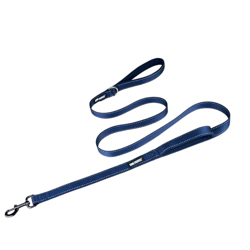 No Pull Dog Leash with Handle for Medium Large Dogs (Blue / 6FT)