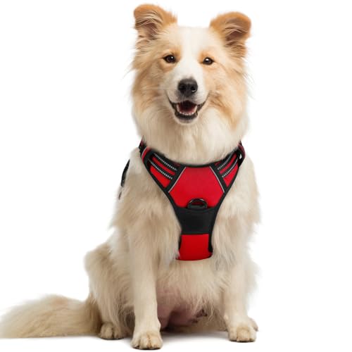 Dog Harness No Pull Medium Sized with 2 Leash Clips (Medium / Red)