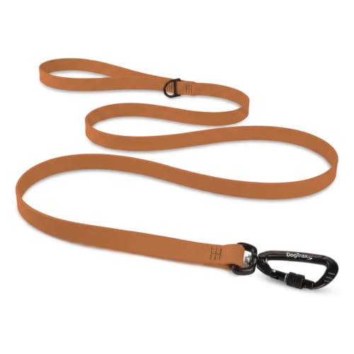 Essential Biothane Dog Leash (Caramel Brown / 3/4 In x 3 Feet)