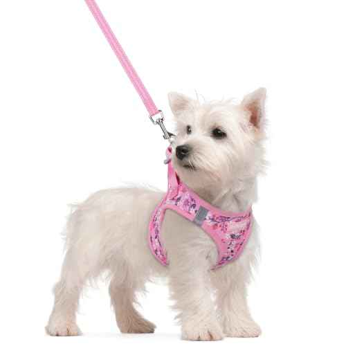 Dog Harness Small Sized and Leash Set (Pink Floral / S (chest: 15.1 - 16.5"))
