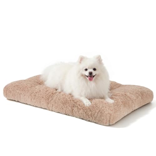 Dog Bed Crate Pad (23.0"L x 18.0"W x 3.0"Th / Beige)