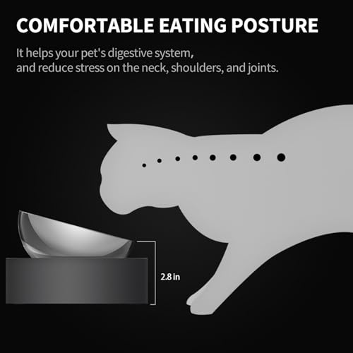304 Stainless Steel Elevated Cat Bowls&Dog Bowls
