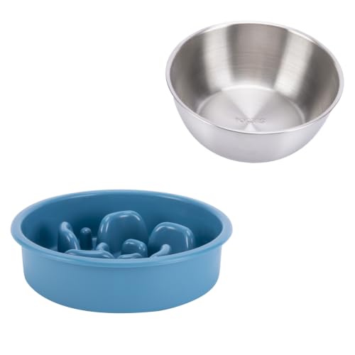 Slow Feeder Dog Bowl and Stainless Steel Water Bowl (Medium / Blue)