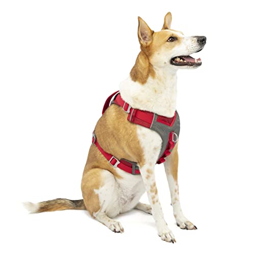 Journey Air Dog Harness (Large / Red)