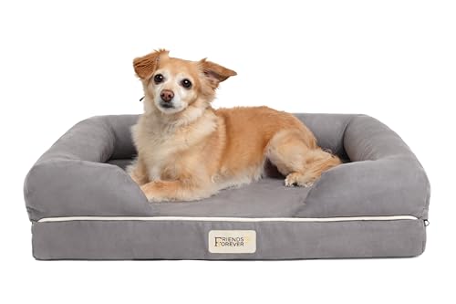 Orthopedic Dog Bed (Memory Foam Dog Bed / Chester Grey / 25.0"L x 20"W x 5.5"Th)