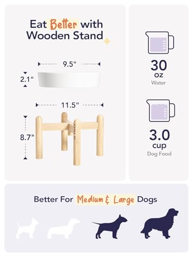 Ceramic Slow Feeder Dog Bowls Elevated (Angle White+Stand / L-3 Cups)