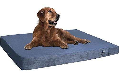 Orthopedic Gel Memory Foam Pet Dog Bed (Microsuede Gray / 47"X29"X4" Inches)