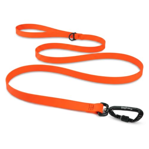Essential Biothane Dog Leash (Orange / 3/4 In x 3 Feet)