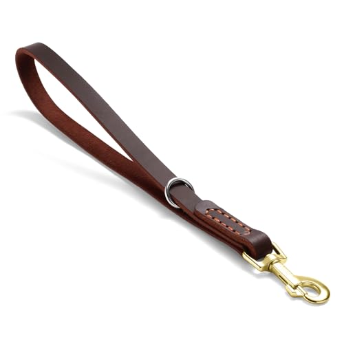 Leather Dog Leash (1.0 ft L x 0.75 in W)