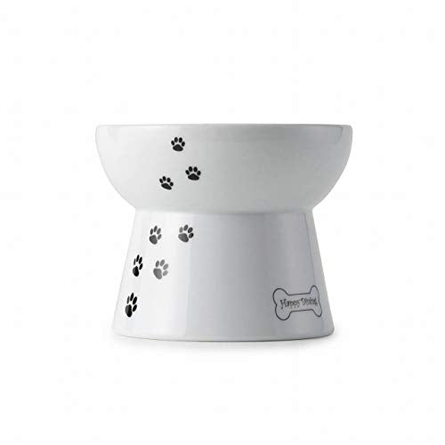 Necoichi Raised Dog Food Bowl (Regular)
