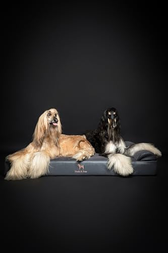 Giant Dog Bed XXL 55x45x9.5 Inch (Vegan Leather - Charcoal / XX-Large)