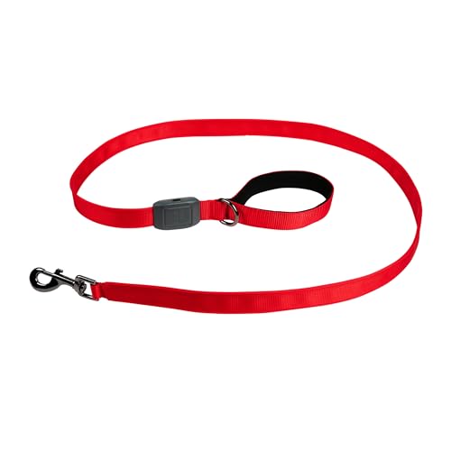 NiteDog Rechargeable LED Leash