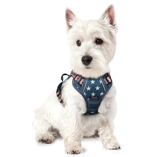 Dog Harness No Pull for Small Dogs with 2 Leash Clips (X-Small / Blue Star)
