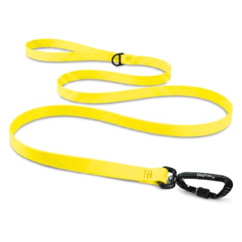 Essential Biothane Dog Leash (Yellow / 1 In x 5 Feet)