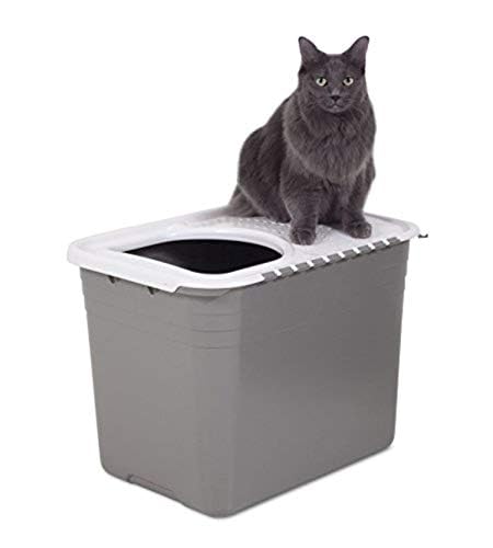 Enclosed Cat Litter Box with Hinged Lid (1 Count (Pack of 1) / Gray)