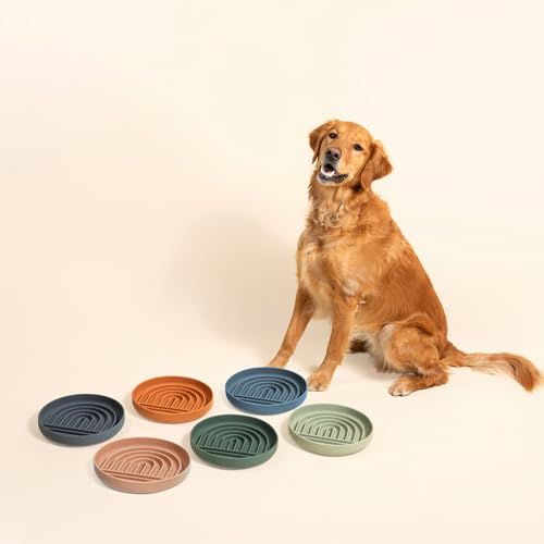 Slow Feeder Dog Bowl (Spruce - Rainbow Design / Large (9.5” Across and 1.5” Tall))