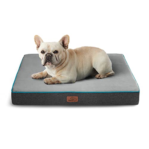 Memory Foam Small Dog Bed (24"L x 16"W x 3"Th / Grey)
