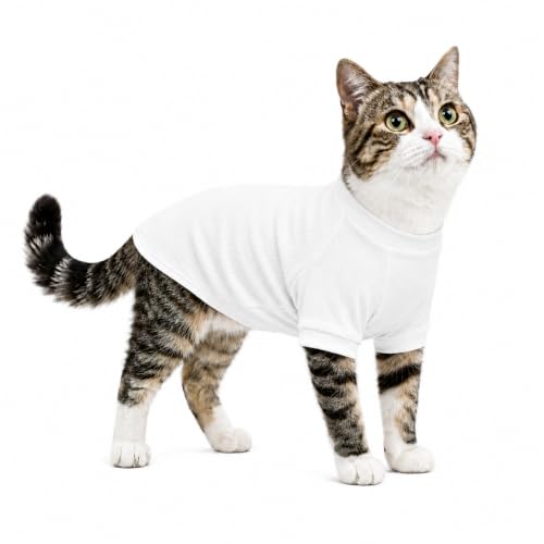 Ribbed Dog T Shirt Cotton Knitted Dog Sweaters for All Season Pet T (XS (for Mini Dog) / Off white)