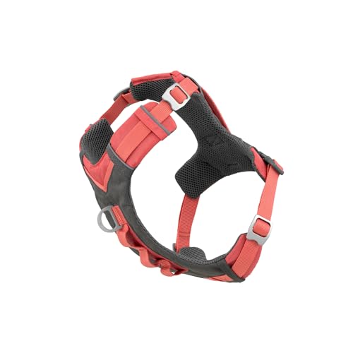 Journey Air Dog Harness (Large / Coral)