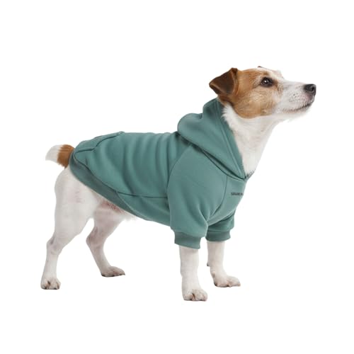 Dog Hoodie Buttery (Teal / Large)
