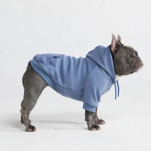 Dog Hoodie Buttery (Slate Blue / X-Large)