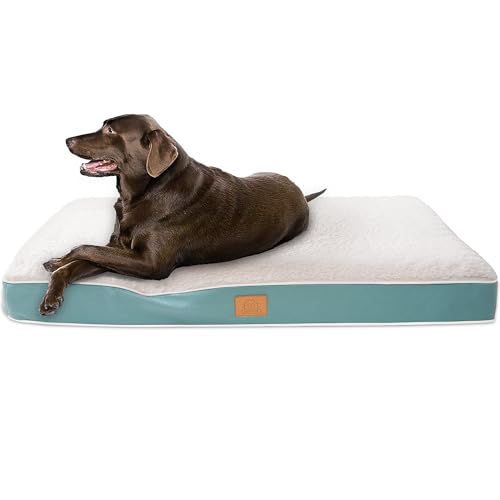 Extra Large Orthopedic Dog Bed (Blue / 41.0"L x 27.0"W x 3.0"Th)