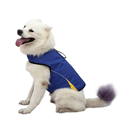 Dog Anxiety Jacket (Blue / XL (Pack of 1))