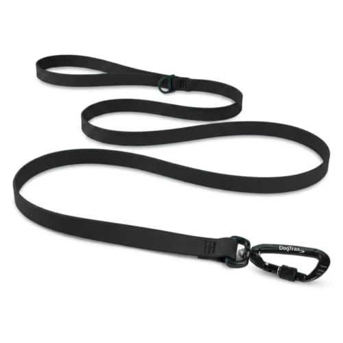 Essential Biothane Dog Leash (Black / 3/4 In x 4 Feet)
