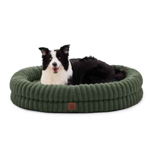 Orthopedic Dog Bed (Olive Green / XL(41*30*7))