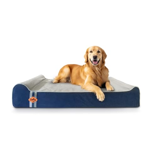 Orthopedic Dog Beds for Large Dogs (50.0"L x 36.0"W x 10.0"Th / Slate Blue)