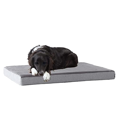 Orthopedic Dog Bed (Grey / Large)