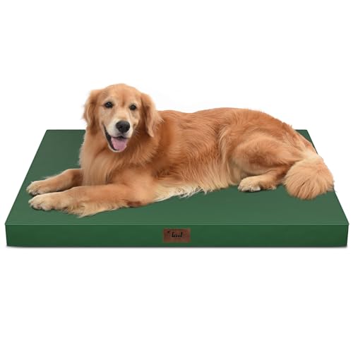 Waterproof Orthopedic Outdoor Dog Bed XL for Extra Large Dogs (Dark Green / 44.0"L x 32.0"W x 3.5"Th)