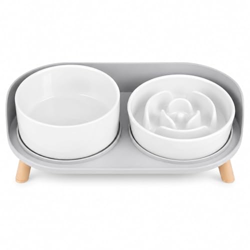 Elevated Slow Feeder Dog Bowls with Splash Proof Stand (Medium / White)