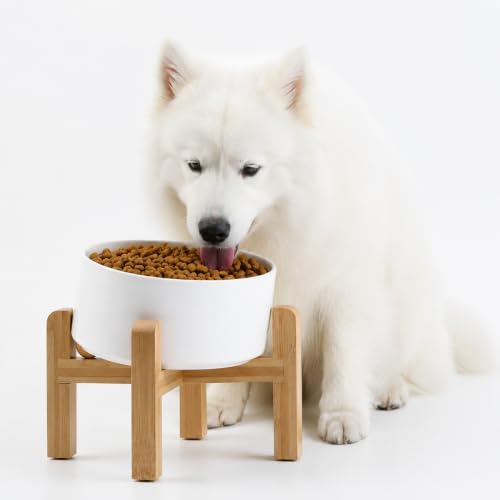White Elevated (White / 3.6 CUPS - Medium Dog Bowls)